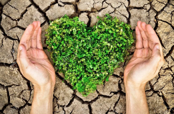 Alimentazione Vegetariana e Tutela dell'Ambiente