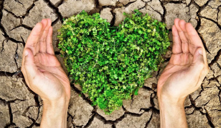 Alimentazione Vegetariana e Tutela dell'Ambiente