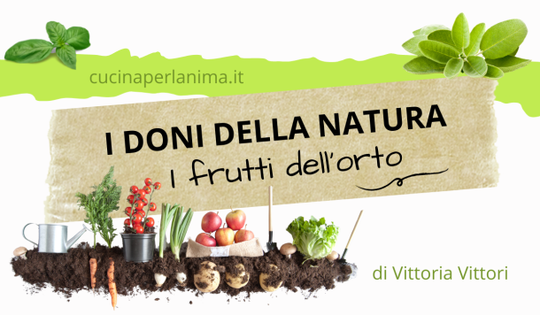 I doni della natura: le proteine vegetali (seconda parte di 2)