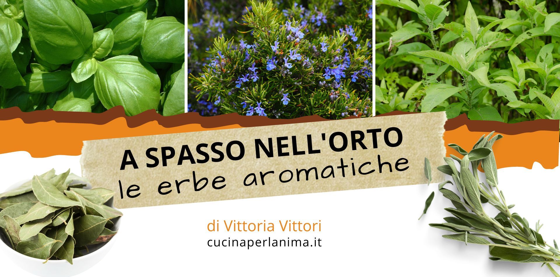 DONI DELLA NATURA: le erbe aromatiche