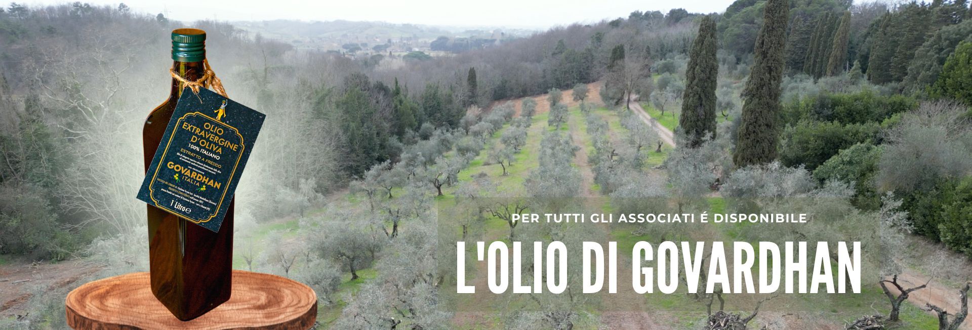 Olio extra vergine spremuto a freddo 100% da olive di govardhan (toscana)